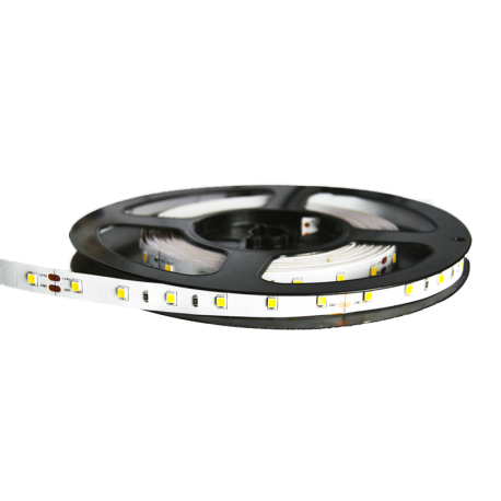 5m tira LED 12V 4.8W/m IP20